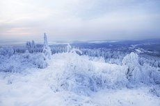 Großer Feldberg (© Taunus Touristik Service e.V.)